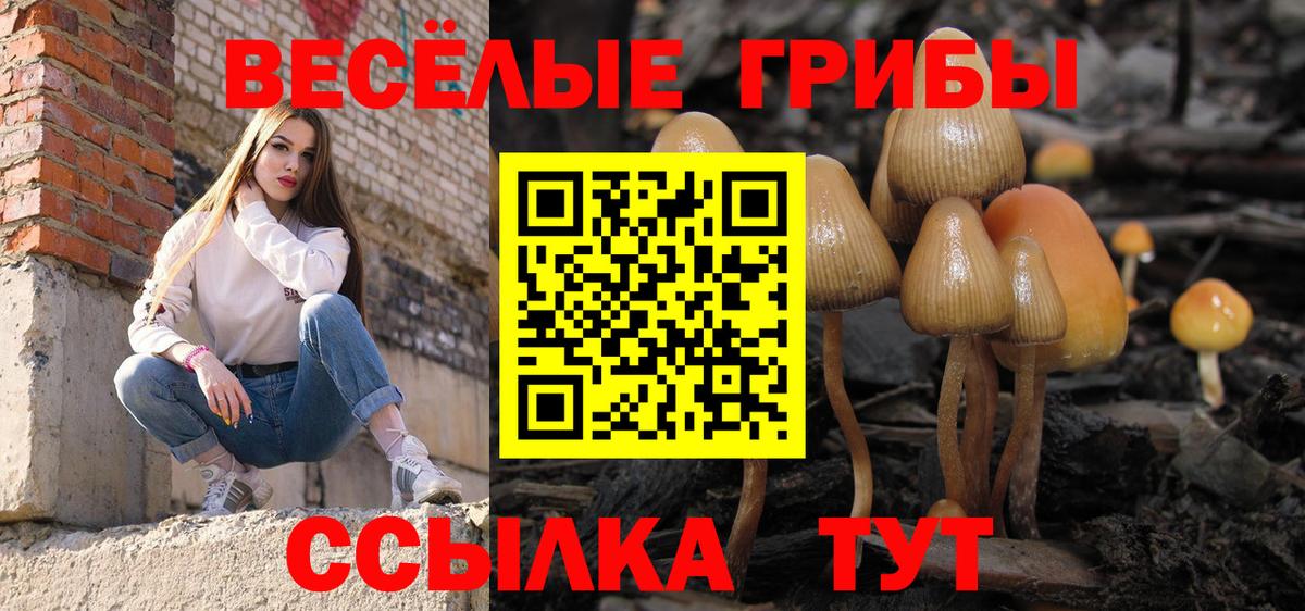 Галлюциногенные грибы MAGIC MUSHROOMS  купить   Семилуки  Вход с VPN 
